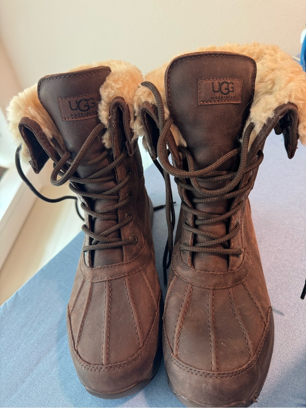 UGG Shearling Lined Winter boots